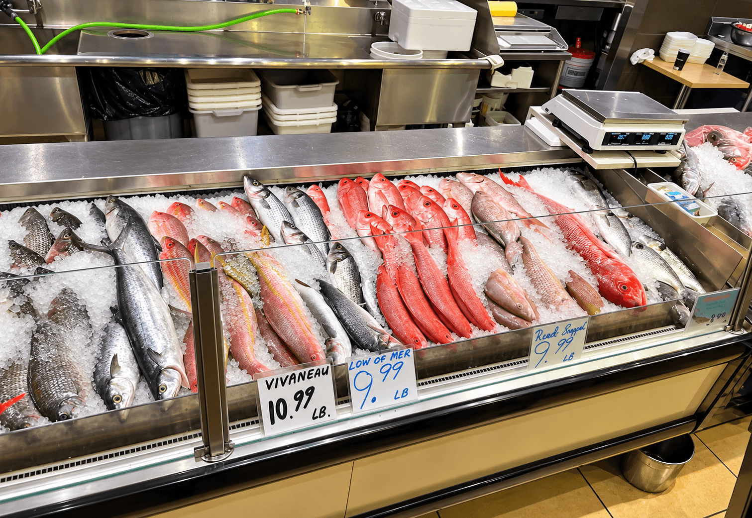 Fish market counter with fresh fish on ice.